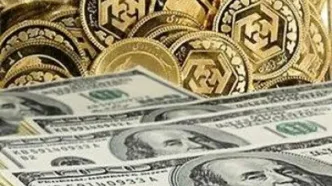 دلالان سکه و ارز با ایجاد ترس در جامعه، قیمت را بالا می برند