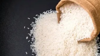 نوسان قیمت برنج ایرانی از ۱۹۰ تا ۳۲۰ هزار تومان