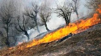 آتش‌سوزی در پناهگاه حیات‌وحش بیستون مهار شد