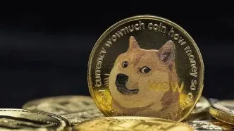 دوج کوین بزرگترین بازنده بازار رمزارزها