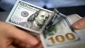 پیش‌بینی عجیب یک فعال اقتصادی از قیمت دلار