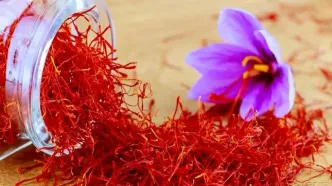 زعفران گران شد/ قیمت جدید زعفران را ببینید