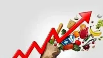 شروع زمستان اقتصادی برای مرد ایران | مرغ آسایش پر کشید !
