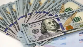 قیمت دلار امروز دوشنبه ۲۴ شهریور ۱۴۰۴؛ دلار به کانال ۹۶ هزار تومان می‌ریزد؟