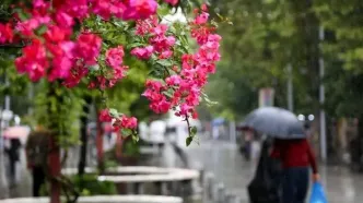 تصاویر؛ بدرقه تابستان با بارش باران در رشت