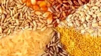 موافقت نمایندگان با تحقیق و تفحص از وزارت کشاورزی