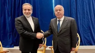 دیدار و گفتگوی وزرای امور خارجه برزیل و ایران