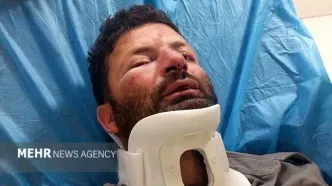 حمله ۳ متخلف به یک محیط‌بان در شمال تهران