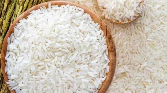 جدول جدید قیمت برنج ایرانی ۲۷ مهر ۱۴۰۴ | برنج هاشمی و صدری در صدر گرانی‌ها