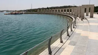 آزادسازی ۵۰ هزار ماهی کپور در دریاچه شهدای خلیج فارس