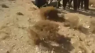 اولیم تصویر اورژانس از صحنه واژگونی اتوبوس در جاده فیروزکوه
