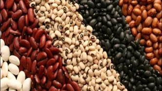 موج گرانی به لوبیا قرمز رسید/ جدول