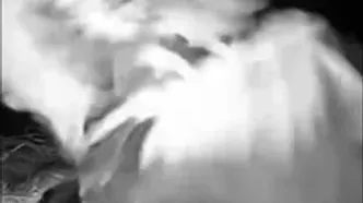 شکار شبانه؛ شاه‌بوف اوراسیایی در تاریکی مطلق لک‌لک را ربود