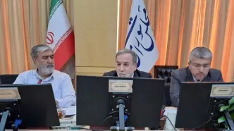 از موضوع فرانچسکو تا بازرسان آژانس/ پاسخ‌های عراقچی در کمیسیون امنیت ملی