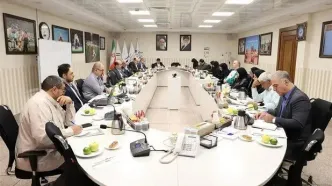 برگزاری هشتمین نشست ستاد بازی‌های پاراآسیایی جوانان