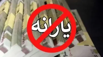 حذف یارانه ۱۰ میلیون نفر قطعی شد؛ اگر درآمدتان از این سطح بیشتر باشد، یارانه‌تان حذف می‌شود