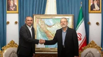 رایزنی وزیر کشور پاکستان با لاریجانی درباره گسترش همکاری‌های راهبردی