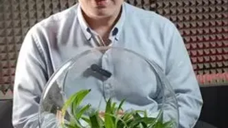 قیمت دلار، طلا و سکه امروز سه شنبه ۱۵ مهر ماه ۱۴۰۴  + ویدئو