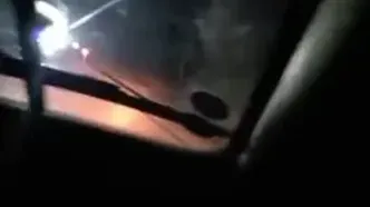 بحران شترهای رهاشده در هرمزگان