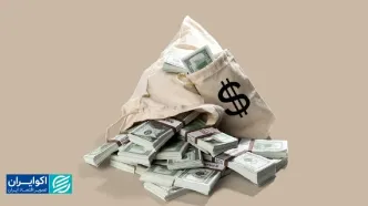 مالک ارز صادراتی کیست؟