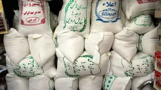 قیمت برنج ایرانی دوباره بالا رفت | ببینید کدام برند گران‌ترین است!