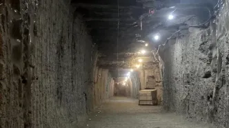 بیدار شدن میکروب‌های یخ‌زده پس از ۴۰ هزار سال!