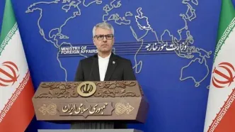 بقایی: مبنای همکاری ما با آژانس قانون مجلس هست