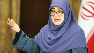 سخنگوی دولت: خروج از لیست سیاه FATF زمان‌بر است