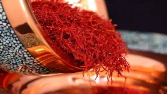زعفران نوبرانه نگین وارد بازار شد