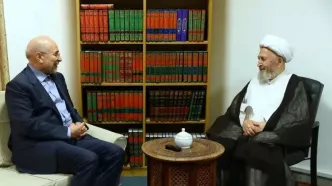 دیدار رییس مجلس شورای اسلامی با آیت الله سبحانی