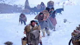 «زیر سایه بلوط» در بخش مسابقه جشنواره‌های بلاروس و ایتالیا