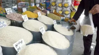 قیمت جدید برنج ایرانی در بازار/ هایلی شیرودی ۲۵۹ هزار تومان