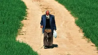 فیلم «ویر» به جشنواره هیکِر کانادا می‌رود