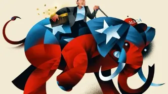 چرا سیلیکون ولی این همه رادیکال شد؟