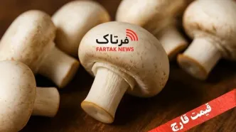 قیمت قارچ ۱۹ مهر ۱۴۰۴؛ نرخ لحظه‌ای + تحلیل داغ بازار!