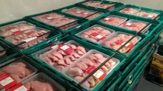 قیمت انواع گوشت مرغ تازه، بسته بندی و قطعه‌بندی اعلام شد