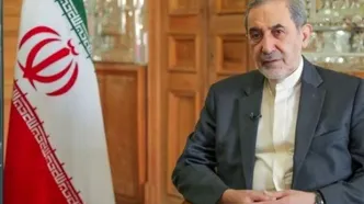 ولایتی: انگلیس پشت پرده اجلاس منامه بود