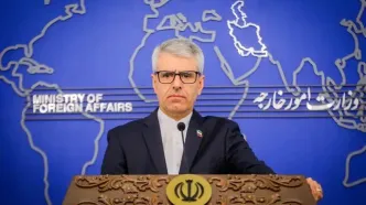 استقبال سخنگوی وزارت امور خارجه از حکم آزادی مشروط خانم مهدیه اسفندیاری
