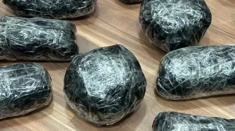 کشف بیش از ۲۴۸ کیلو تریاک در این استان