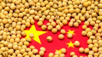 چین؛ تنها اقتصاد بزرگ جهان با کاهش قیمت مواد غذایی