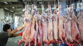 قیمت نهایی گوشت برزیلی و مغولی در بازار