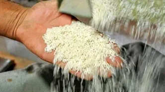 آینده قیمت برنج در ایران چه خواهد شد؟/ برنج ۳۰۰ هزار تومانی هم آرزو می‌شود؟!