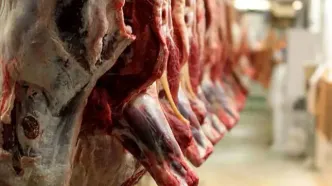 توزیع گوشت وارداتی با قیمت جدید از هفته آینده