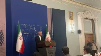 توضیحات بقائی درباره نشست شرم الشیخ: ابعاد مثبت و مننفی را سنجیدیم
