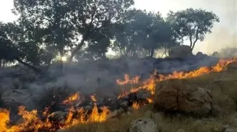 دامنه دماوند آتش گرفت
