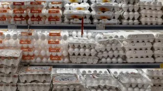 وزیر کشاورزی: قیمت فعلی تخم‌مرغ منطقی است