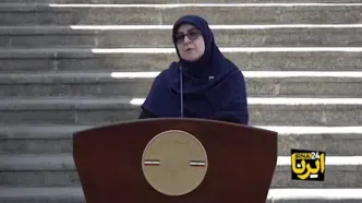 مهاجرانی: دولت مصوبه‌ای در خصوص بنزین نداشته است
