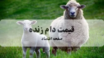 بروزترین قیمت دام زنده امروز شنبه ۱۹ مهر ماه ۱۴۰۴ | نرخ جدید بره نر | قیمت هر کیلو فقط ۳۲۰ هزار تومان