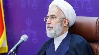 دادستان کل کشور: اظهارنظر درباره «حجاب» از شئون فقهاست؛ افراد جاهل دراین‌باره اظهارنظر نکنند