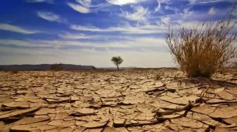 فاجعه خشکسالی در تهران؛ هیچ بارانی نباریده است!